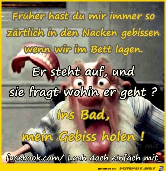 Gebiss holen