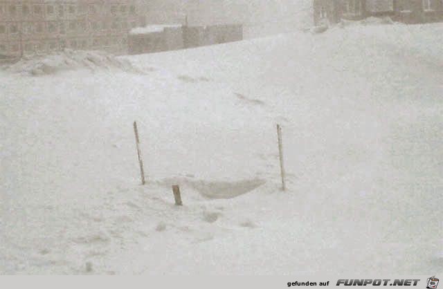 image007 image007