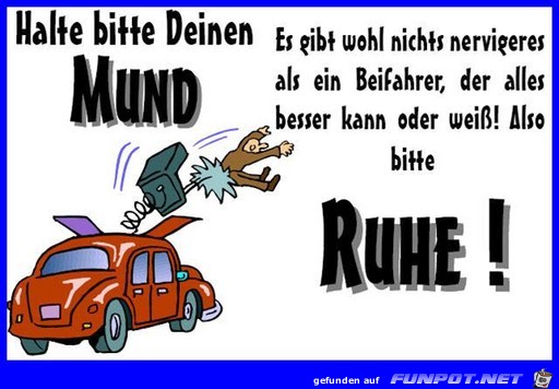 Beifahrer Beifahrer