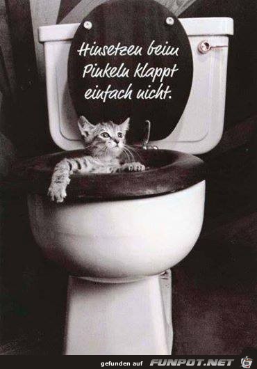 Hinsetzen Hinsetzen