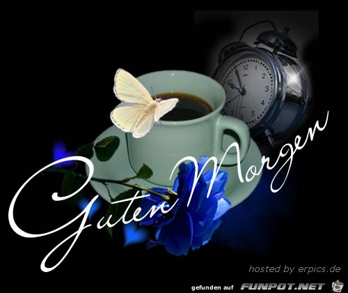 Guten Morgen -