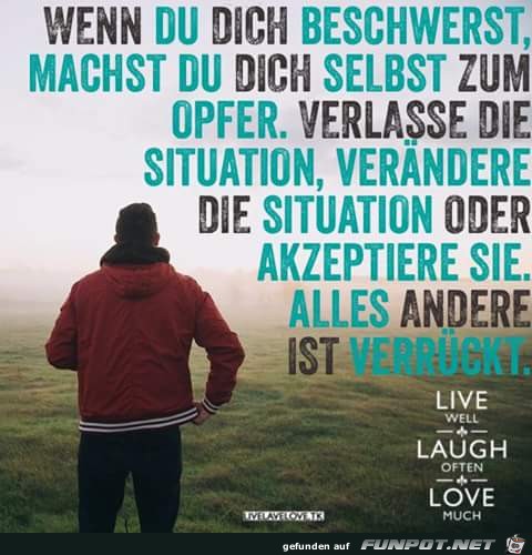 die Situation die Situation