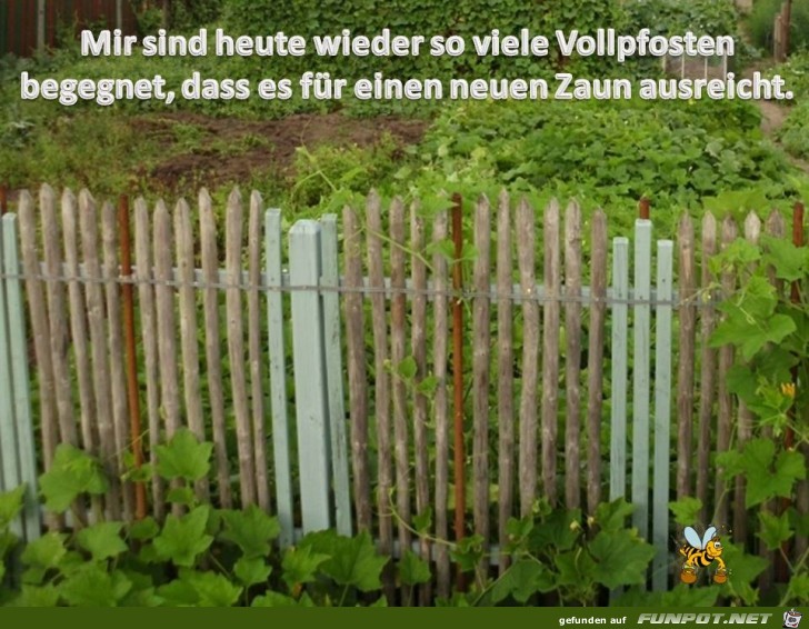 Vollpfosten