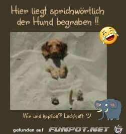 begraben