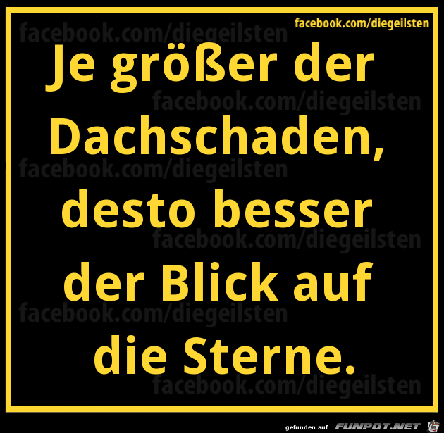 diegeilsten Dachschaden diegeilsten Dachschaden