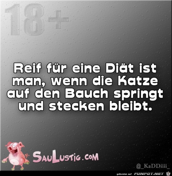 Reif-fuer-eine-Diaet Reif-fuer-eine-Diaet