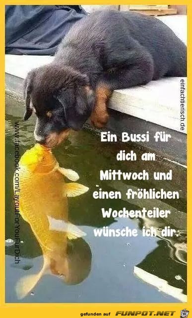 Wochemteiler Wochemteiler