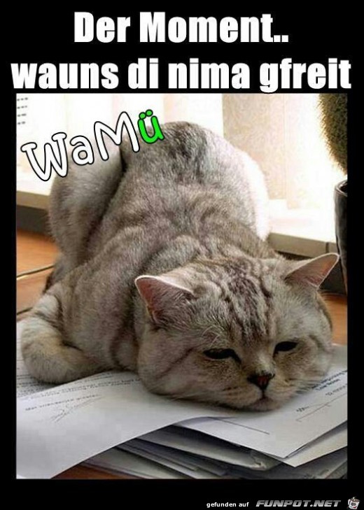 nimma gfreit nimma gfreit