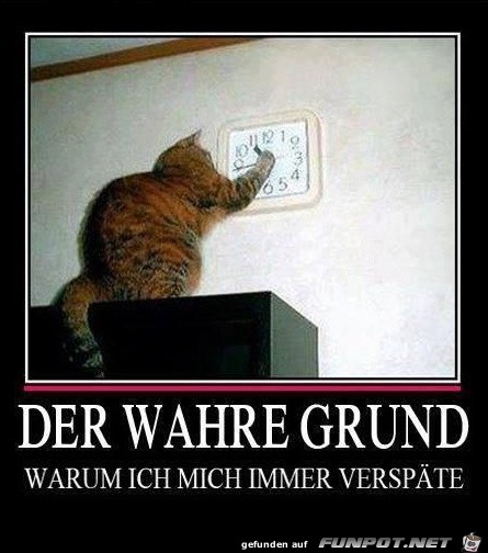 Spaeter Spaeter