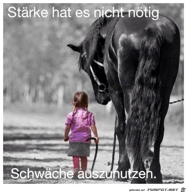 Staerke hat es nicht noetig