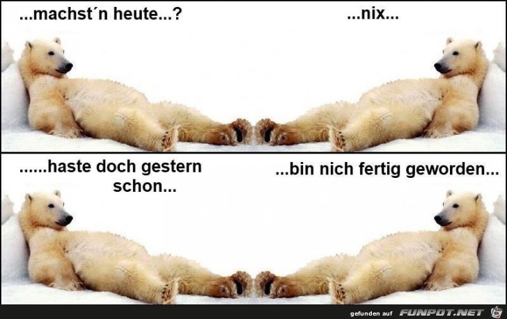B renstark B renstark