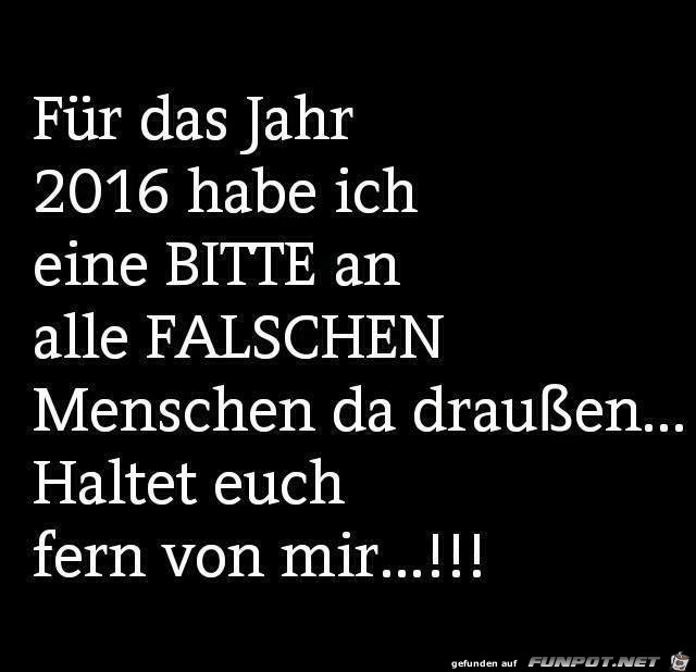 fern fern