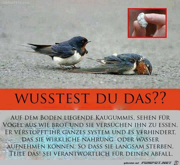 Wusstest Du Das