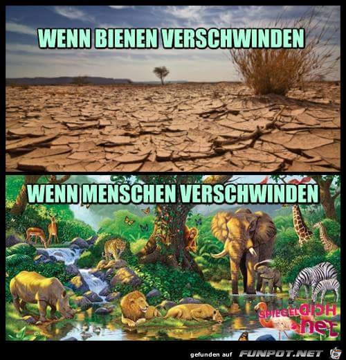 verschwinden verschwinden
