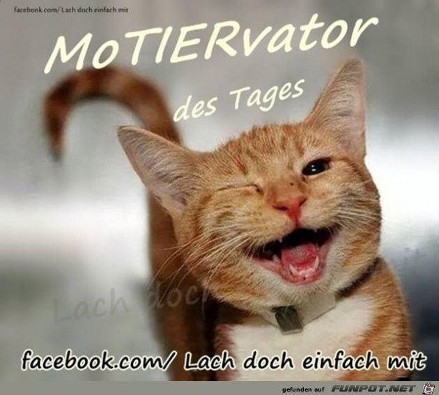 motivator motivator