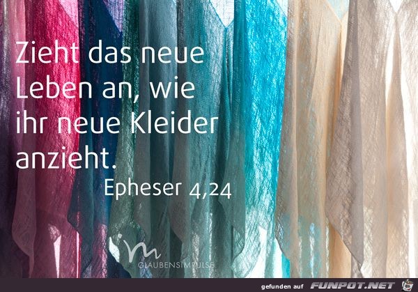 Epheser 4 24