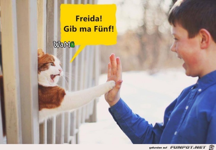 Freida Freida