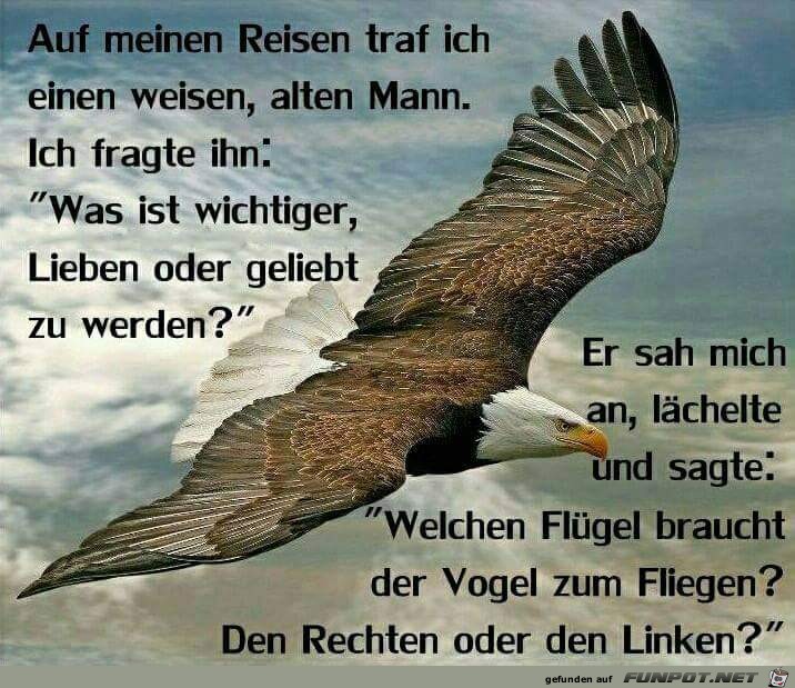 auf Reisen traf ich einen weisen alten Mann. auf Reisen traf ich einen weisen alten Mann.