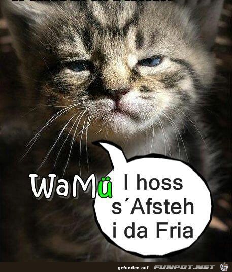 afsteh afsteh