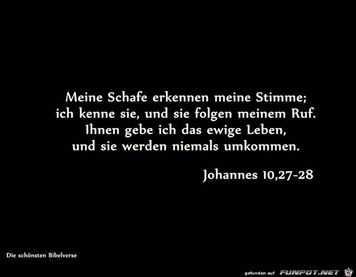 johannes 10 27-28 johannes 10 27-28