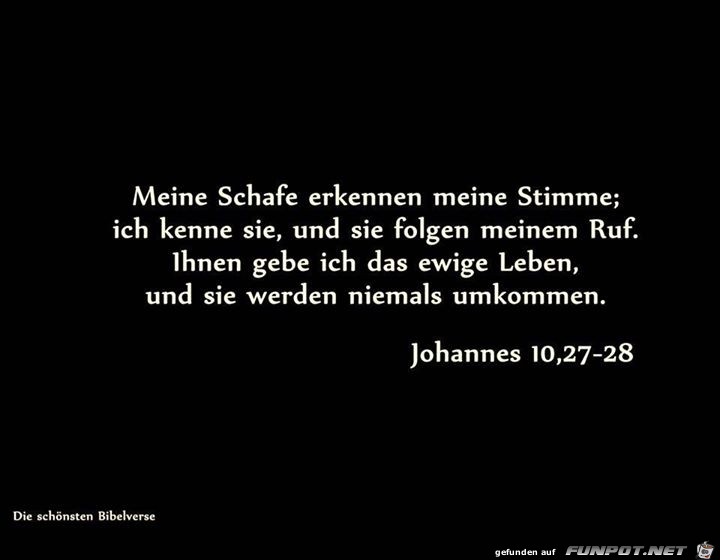 johannes 10 27-28