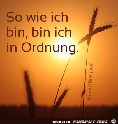 In Ordnung In Ordnung
