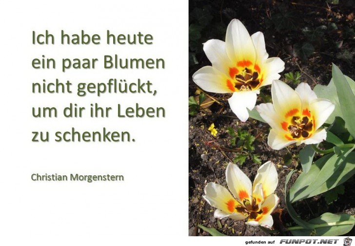 ich habe heute ich habe heute