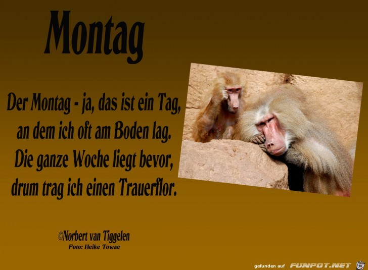 01montaghtowae 01montaghtowae