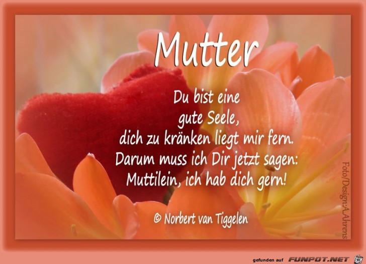 Mutter 1