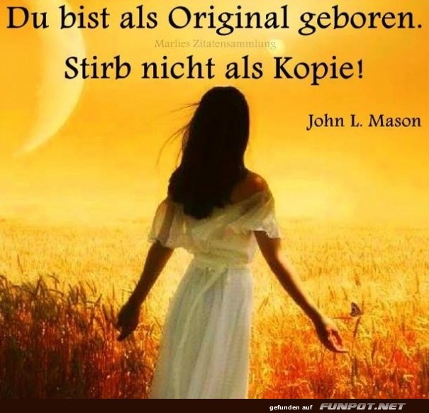 10 sch�ne Spr�che und Lebensweisheiten aus...