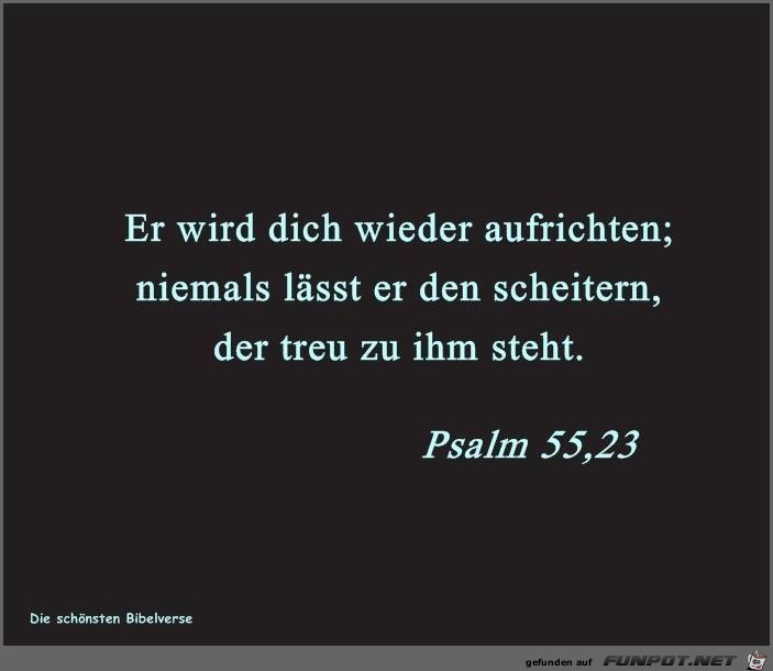 Psalm 55 23