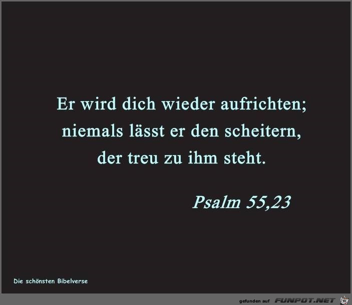 Psalm 55 23 Psalm 55 23