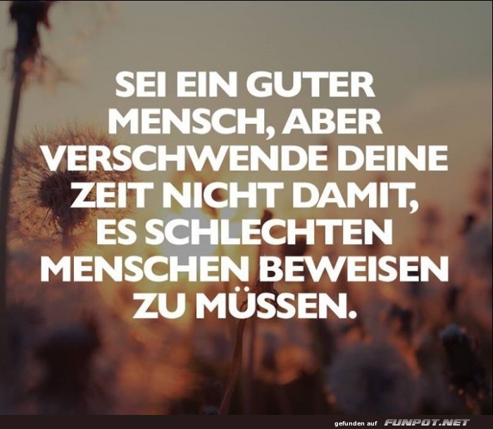 10 sch�ne Spr�che und Lebensweisheiten aus...