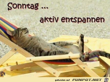 sonntag36 sonntag36
