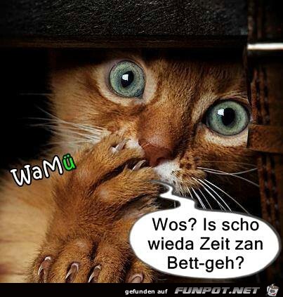 bett geh bett geh