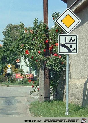 deutsche gruendlichkeit deutsche gruendlichkeit