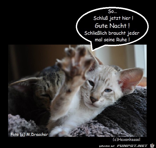 gute nacht04 gute nacht04