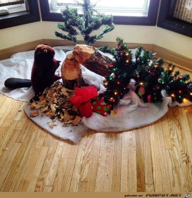 Baum-Unfall Baum-Unfall