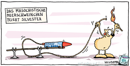 217 meerschweinchen silvester 217 meerschweinchen silvester