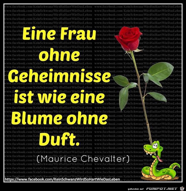 Ohne Geheimnisse Ohne Geheimnisse