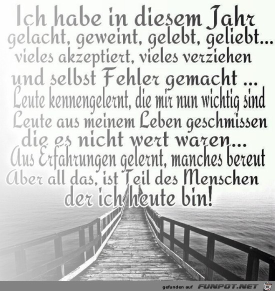 ich habe in diesem jahr ich habe in diesem jahr