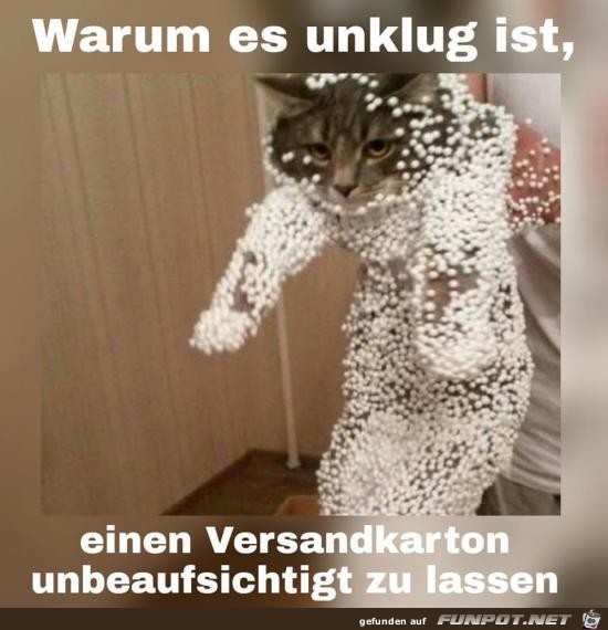 Unklug Unklug