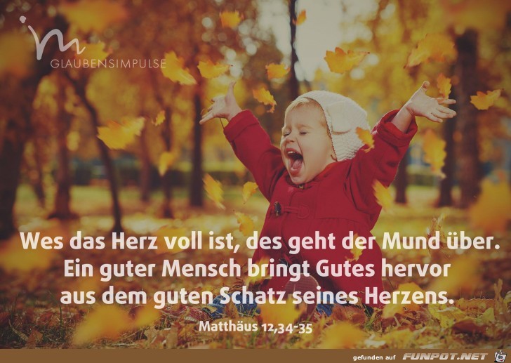 Matth 12 34-35 Matth 12 34-35
