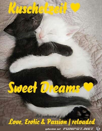 kuschelzeit kuschelzeit