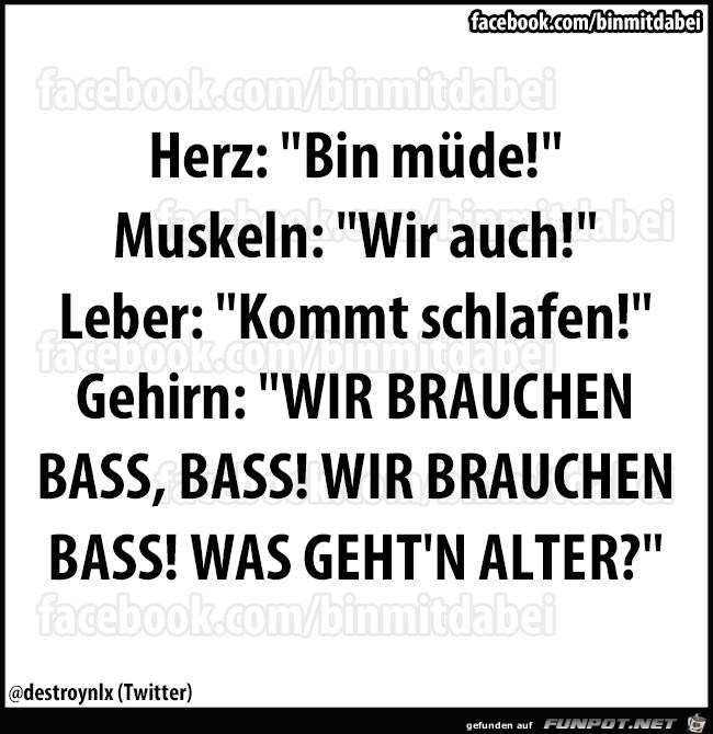 Herz: Bin muede...