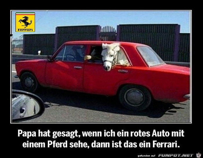 rot rot