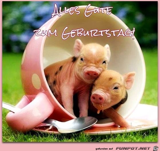 Alles Gute -