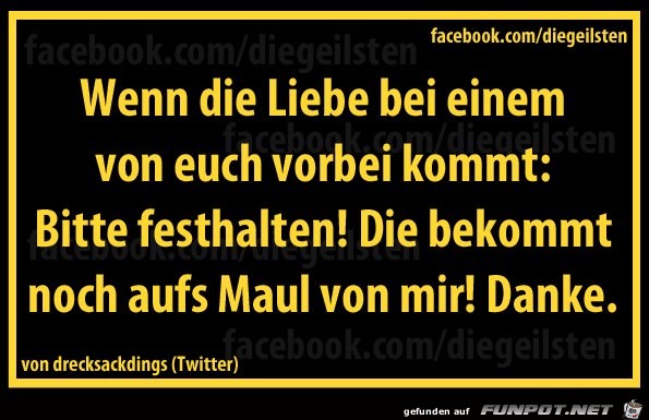 diegeilsten Liebe2 diegeilsten Liebe2
