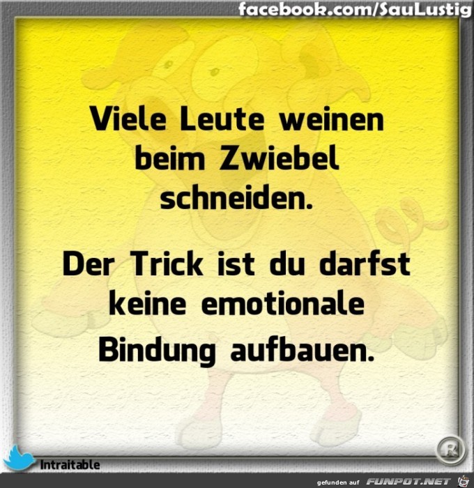 Trick beim Zwiebel schneiden Trick beim Zwiebel schneiden