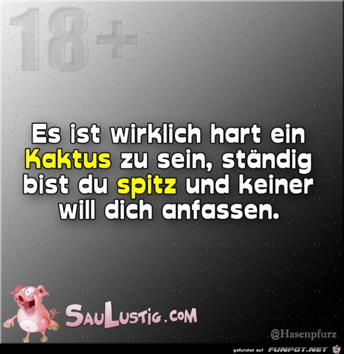 Kaktus-sein-ist-hart